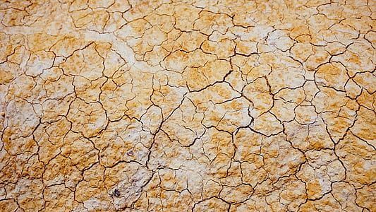 closeup photo of cracked brown surface thumbnail