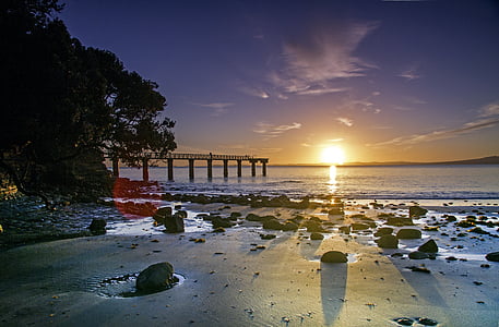 photography of sea beside trees and mountain thumbnail