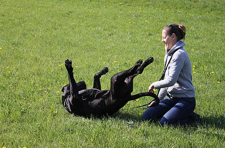 woman sitting and playing with an adult black dog at green fields during daytime thumbnail
