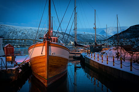 brown and white boat near dock thumbnail